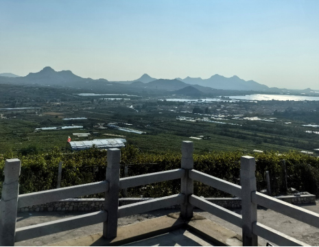 http://hyhtrans.com平度大澤山葡萄園引進(jìn)萊恩德土壤肥料檢測(cè)儀， 輕松掌握土壤營(yíng)養(yǎng)